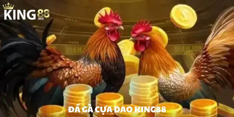 Đá gà cựa dao – Trò chơi chọi kê hàng đầu năm 2025 1 đá gà cựa dao ảnh đại diện