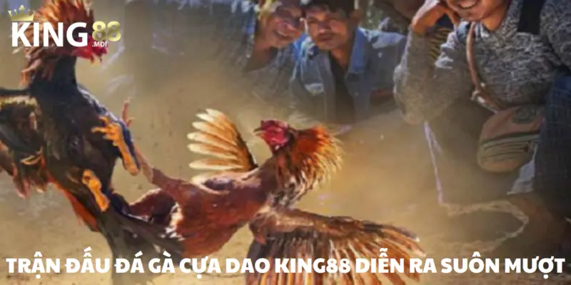 Đá gà cựa dao – Trò chơi chọi kê hàng đầu năm 2025 2 Cược gà cựa dao trên KING88 dễ dàng thực hiện