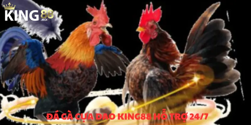 Đá gà cựa dao – Trò chơi chọi kê hàng đầu năm 2025 4 Chăm sóc khách hàng không gián đoạn, phục vụ 24/7
