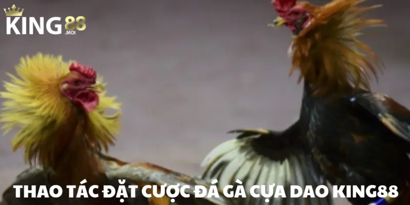 Đá gà cựa dao – Trò chơi chọi kê hàng đầu năm 2025 3 Cuộc chiến diễn ra một cách chóng vánh